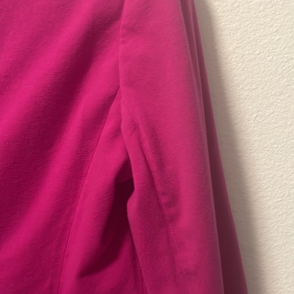 A Pink Blazer by The Limited! - Picture 14 of 16